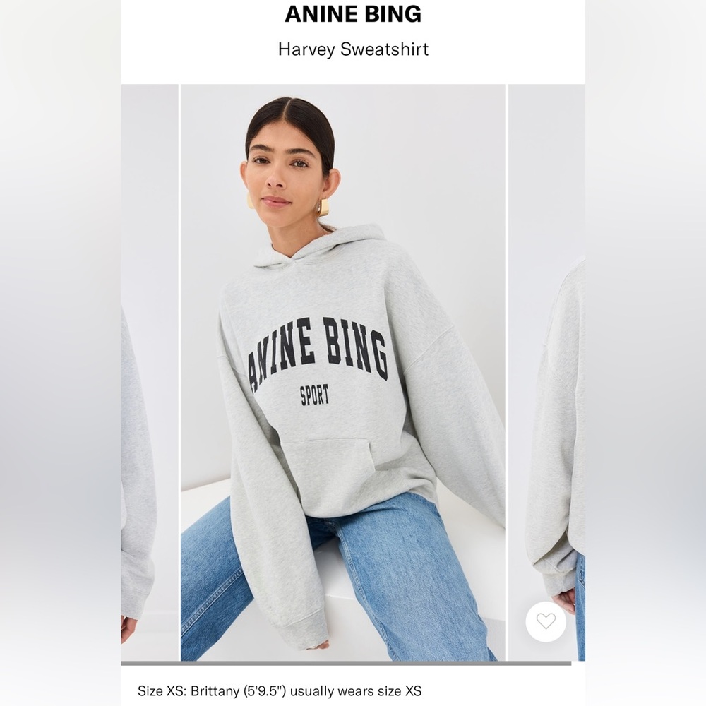 Anine Bing Sport Black Light Gray Hoodie